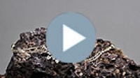 Üçlü Altın Kalpler Kolye ürün videosu